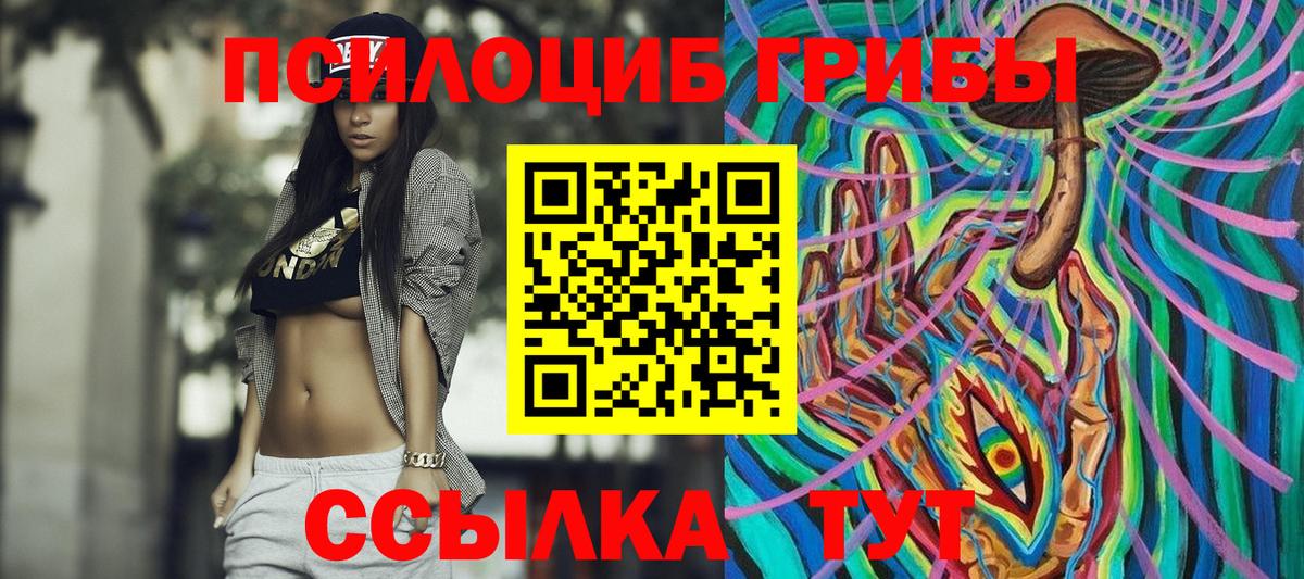 Псилоцибиновые грибы Psilocybine cubensis  Вход с VPN  Учалы 
