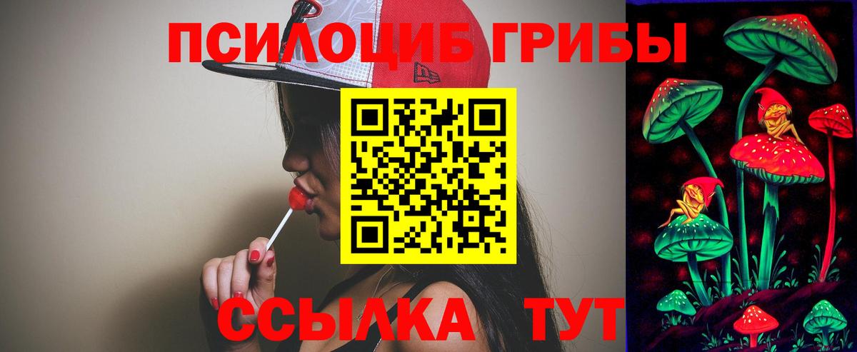 Галлюциногенные грибы Psilocybine cubensis Учалы